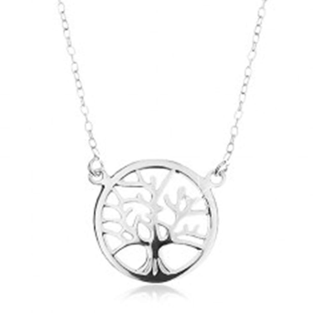 Šperky eshop Strieborný náhrdelník 925, retiazka a prívesok - lesklý strom života v kruhu