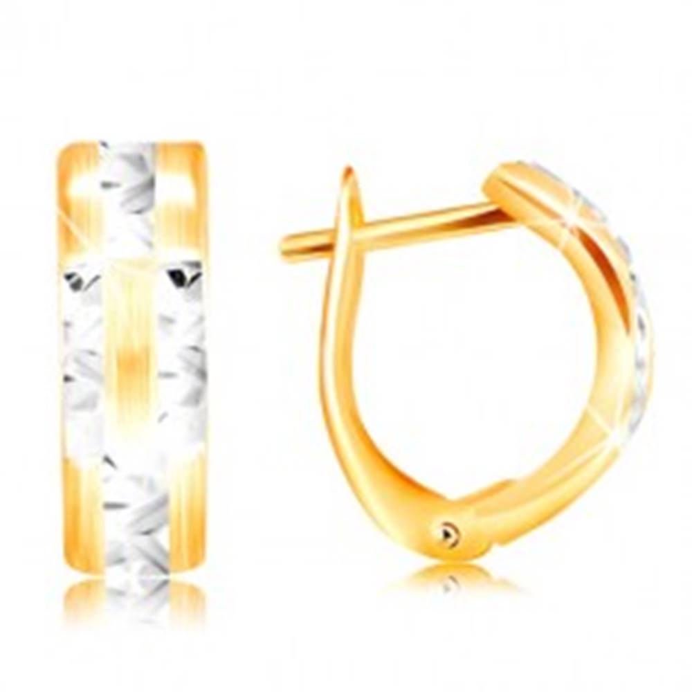 Šperky eshop Náušnice zo 14K zlata - matný oblúk s ligotavými líniami z bieleho zlata