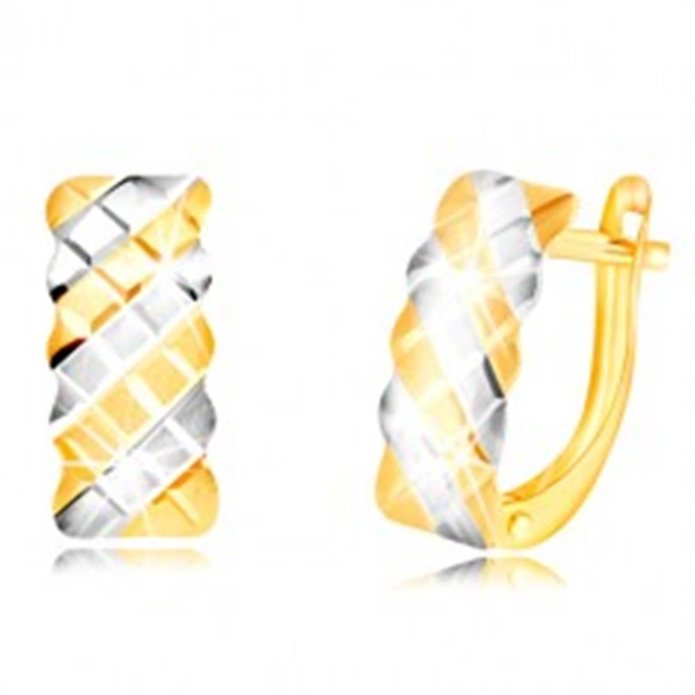 Šperky eshop Náušnice v 14K zlate - matný oblúk zdobený dvojfarebnou mriežkou