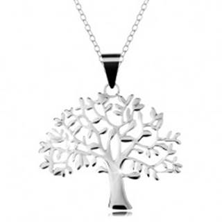 Strieborný 925 náhrdelník, retiazka a prívesok - veľký košatý strom života