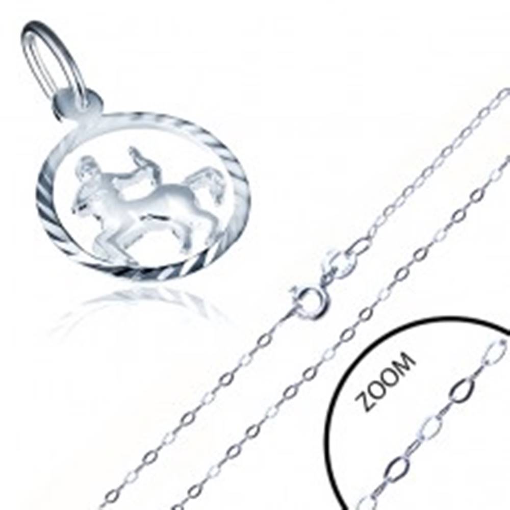 Šperky eshop Strieborný náhrdelník 925 - jemná retiazka a prívesok znamenia STRELEC