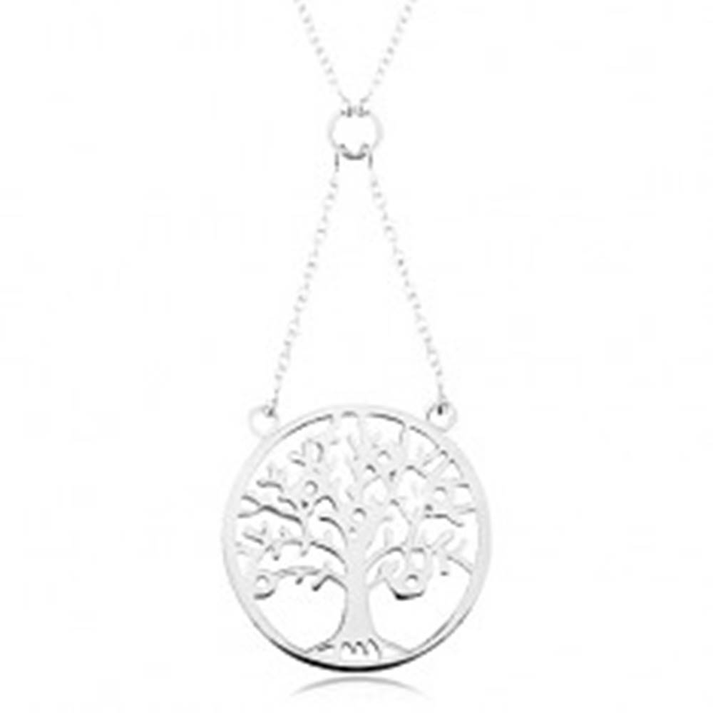 Šperky eshop Náhrdelník zo striebra 925, retiazka a prívesok - strom života zdobený zirkónmi
