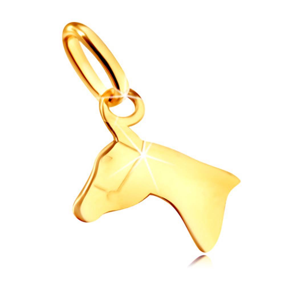Šperky eshop Prívesok zo žltého zlata 375 - lesklý obrys hlavy koníka